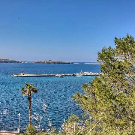 Blue Horizon